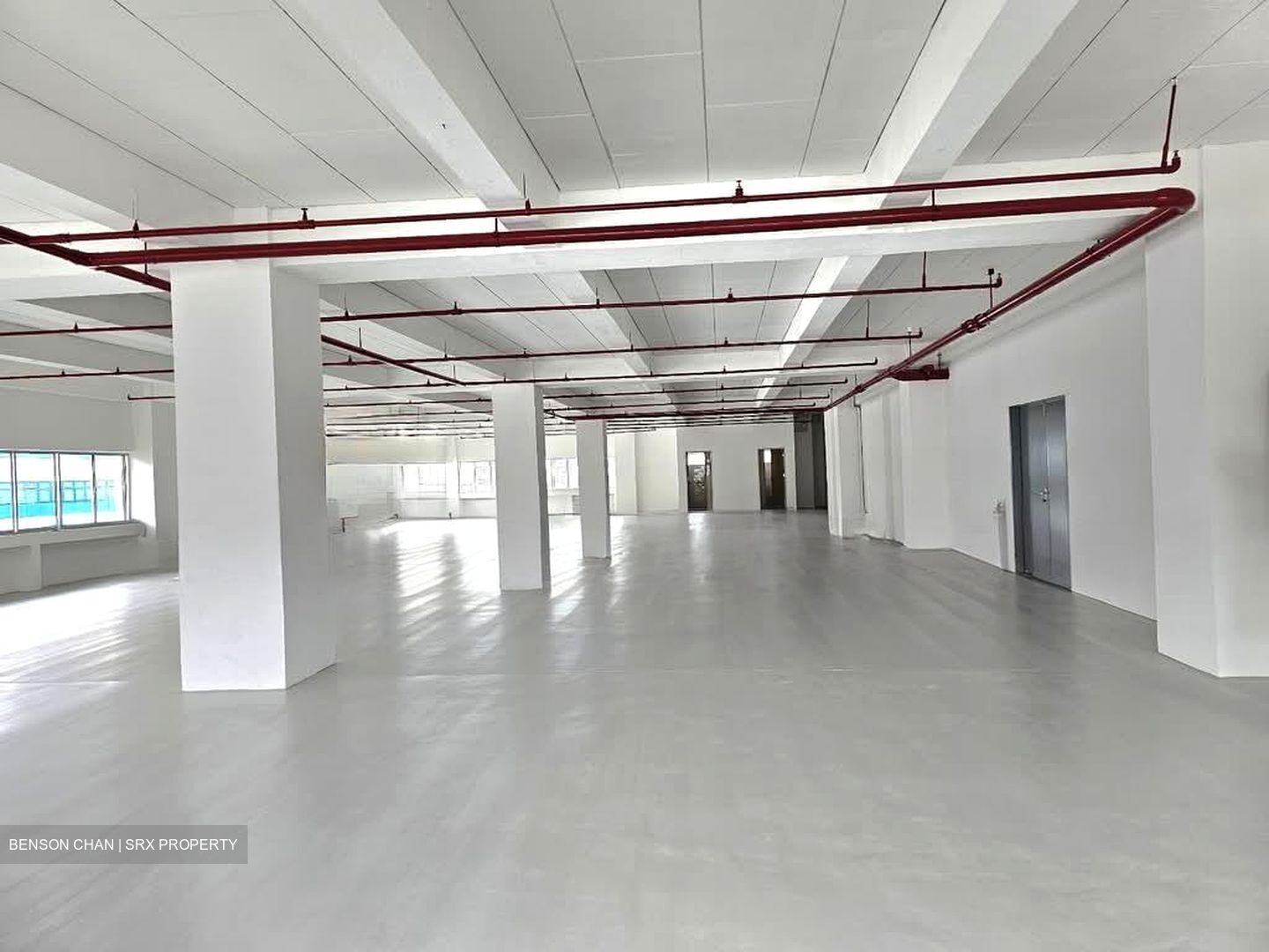 Perfect One (D13), Warehouse #547241701